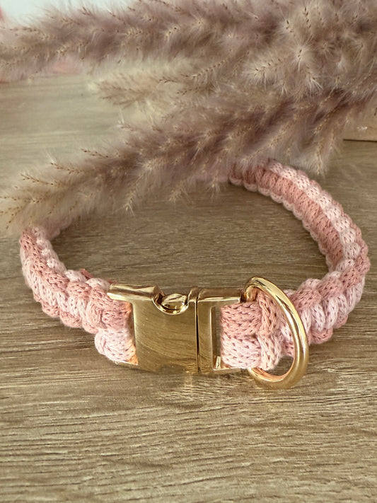 Collier Chien / Chat